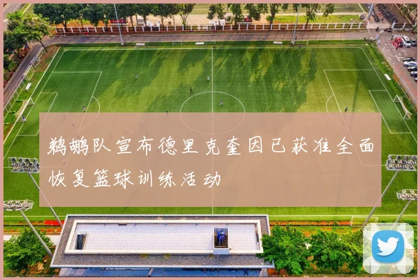 鹈鹕队宣布德里克奎因已获准全面恢复篮球训练活动