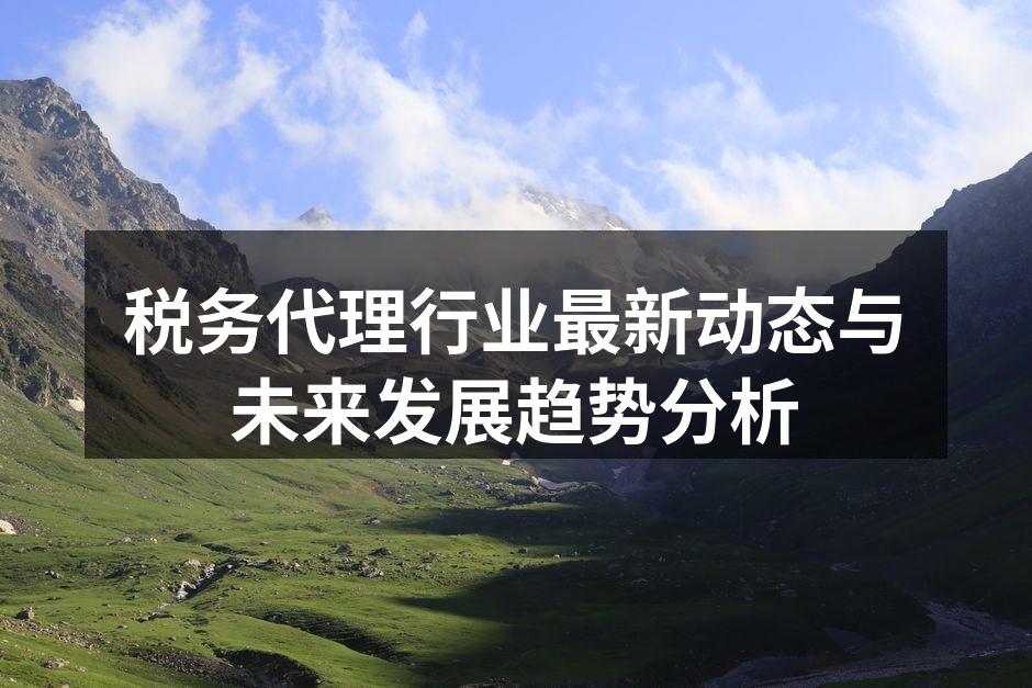 税务代理行业最新动态与未来发展趋势分析