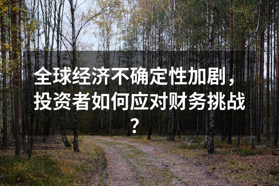 全球经济不确定性加剧，投资者如何应对财务挑战？