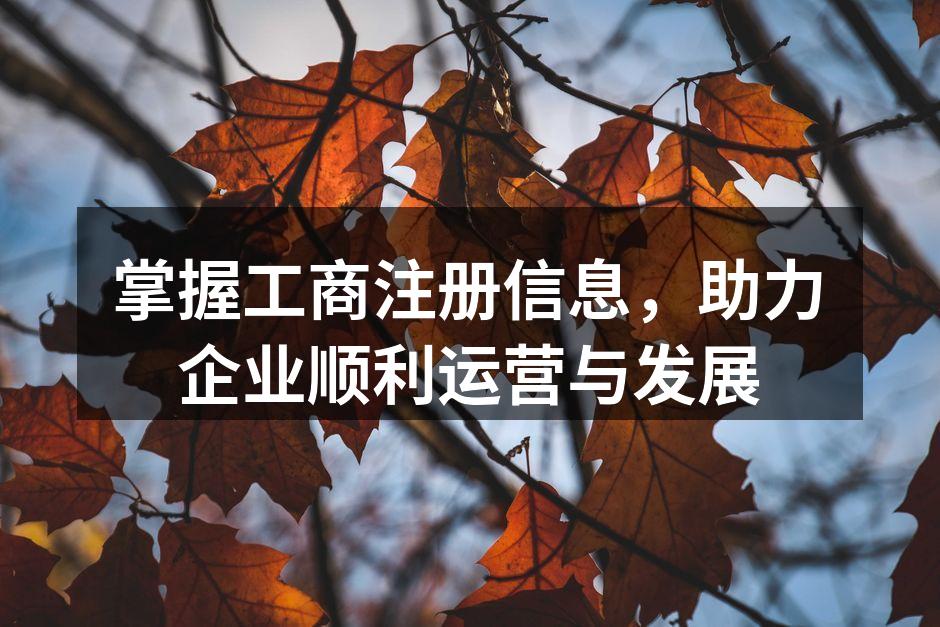 掌握工商注册信息，助力企业顺利运营与发展