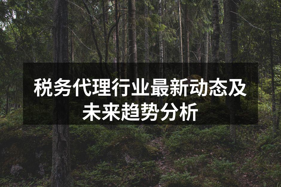 税务代理行业最新动态及未来趋势分析