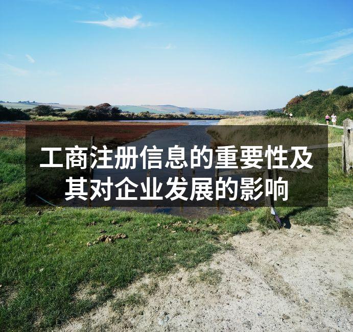 工商注册信息的重要性及其对企业发展的影响